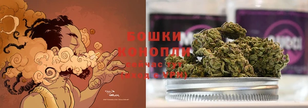 амф Козельск