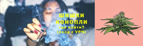 амф Козельск
