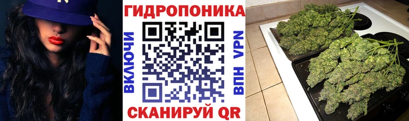 Купить где  Симферополь  Конопля сатива 